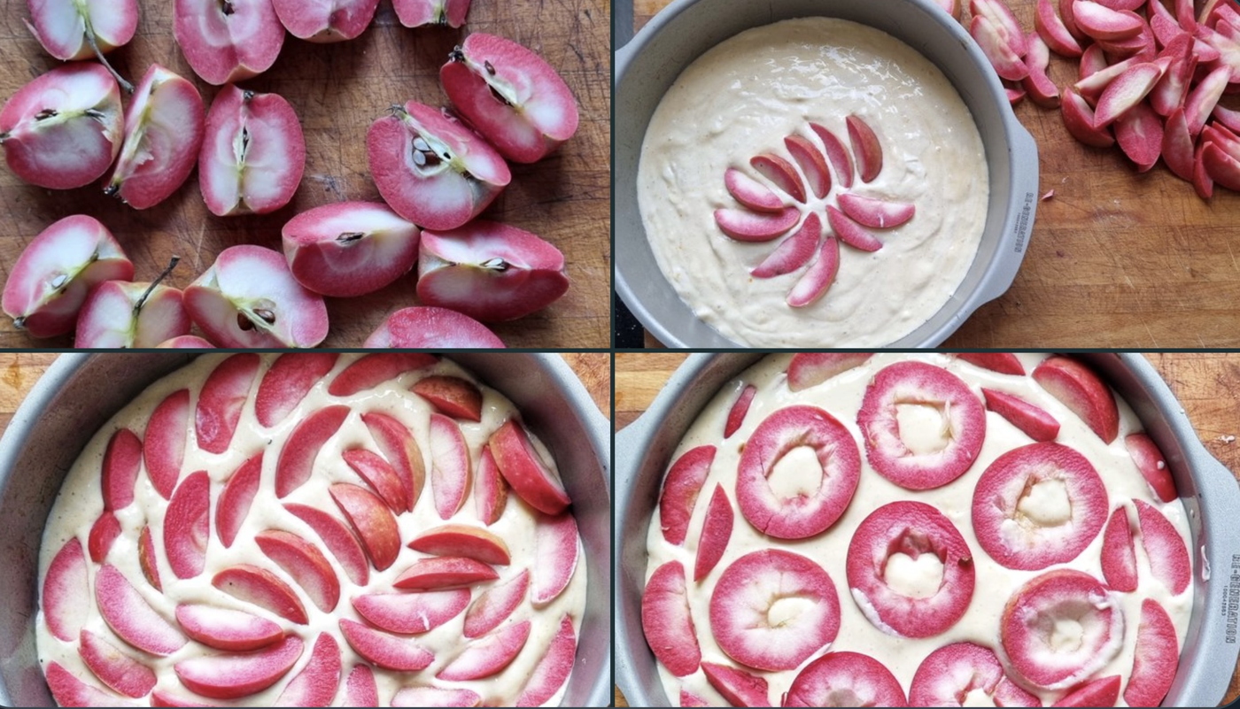 Apfel-Käsekuchen ohne Boden